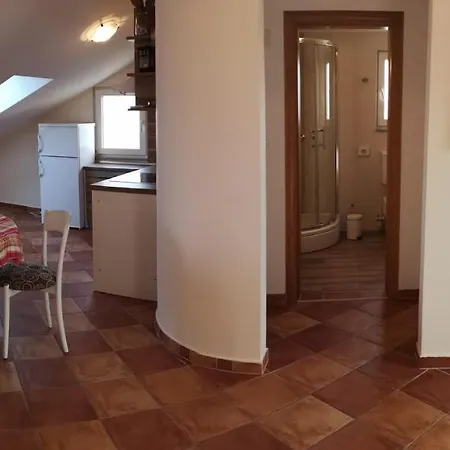 Kovacicek 5 Apartment *